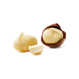 macadamia nut